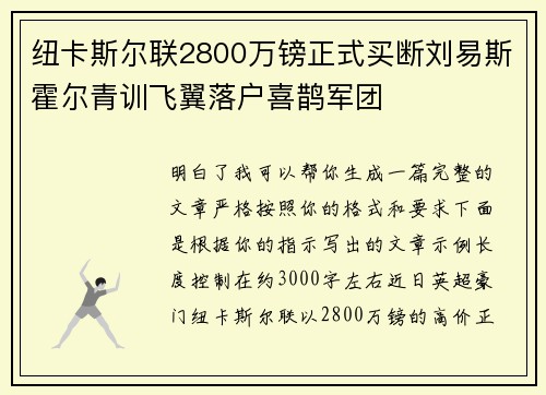 纽卡斯尔联2800万镑正式买断刘易斯霍尔青训飞翼落户喜鹊军团